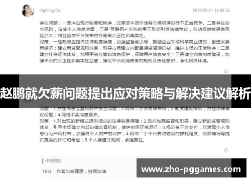 赵鹏就欠薪问题提出应对策略与解决建议解析 赵鹏就欠薪问题提出应对策略与解决建议解析